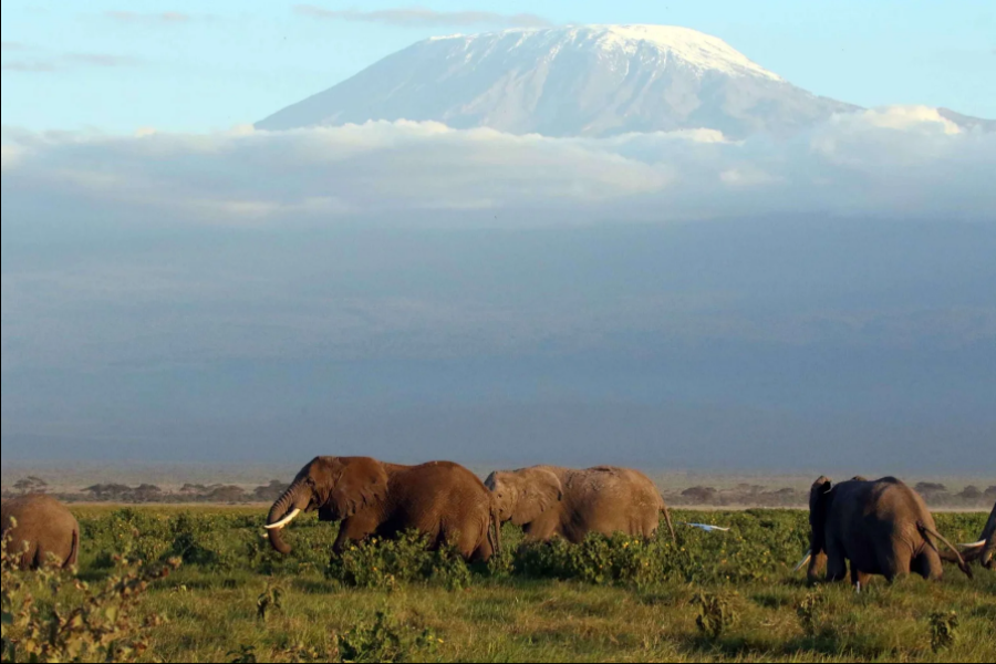 7-Day Amboseli, Naivasha, Hells Gate, Nakuru, Masai Mara