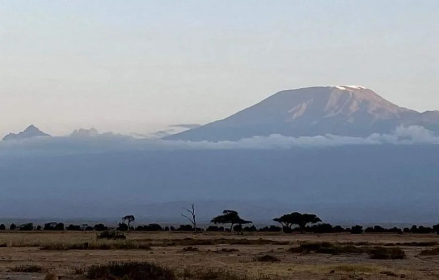 Kibo Villa Amboseli