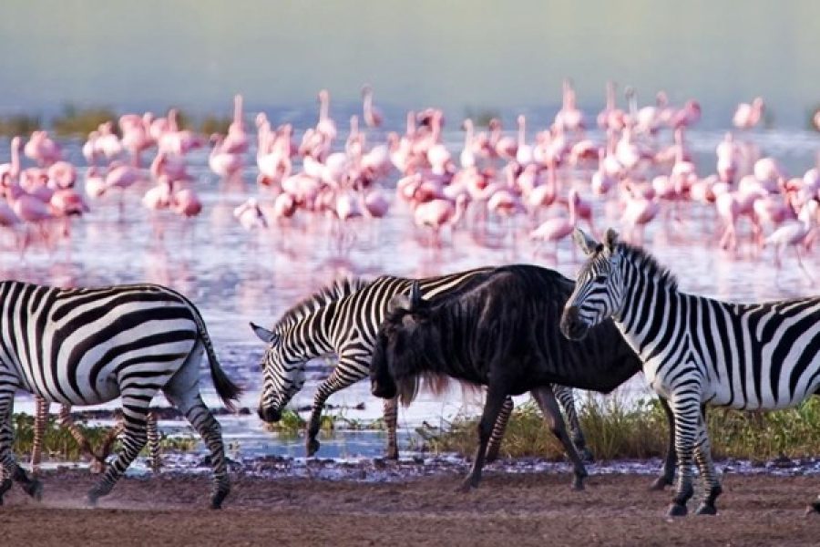 6-Day Lake Region Safari Private Safari