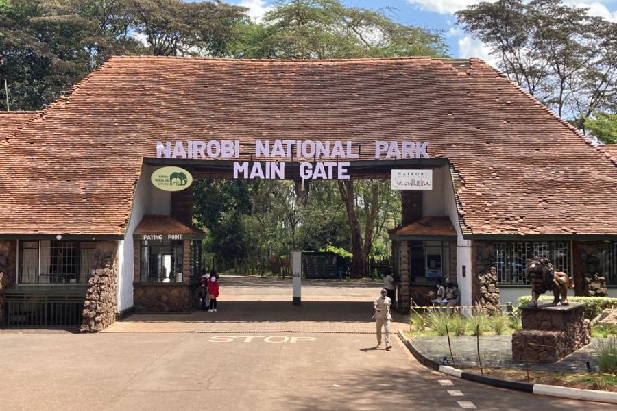 Nairobi National Park Family Game Drive – Every Weekend