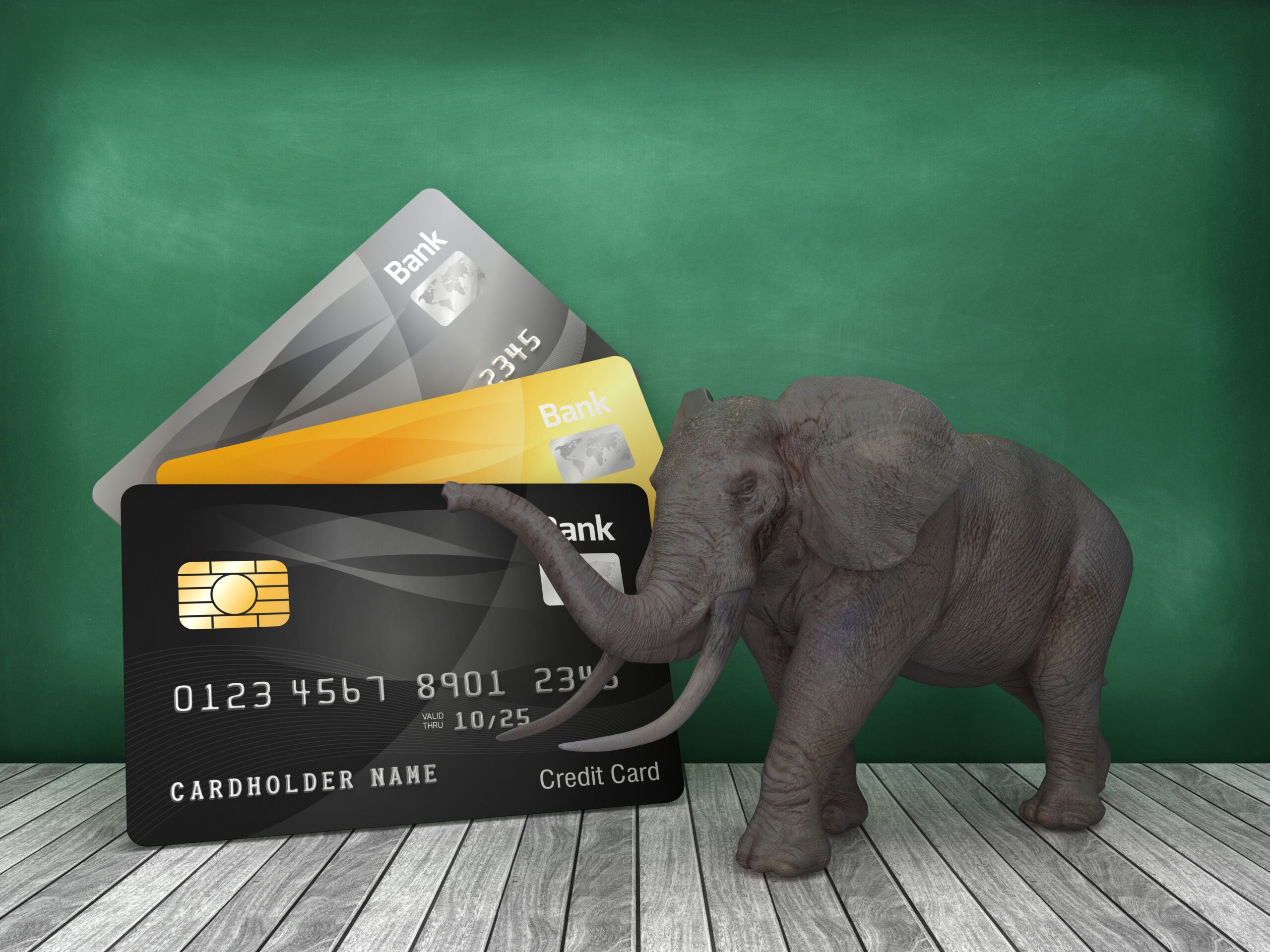 budget safari