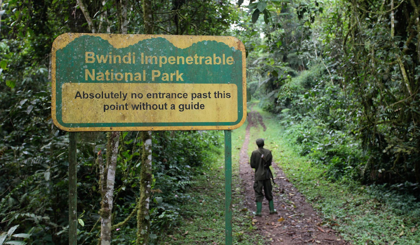 Bwindi