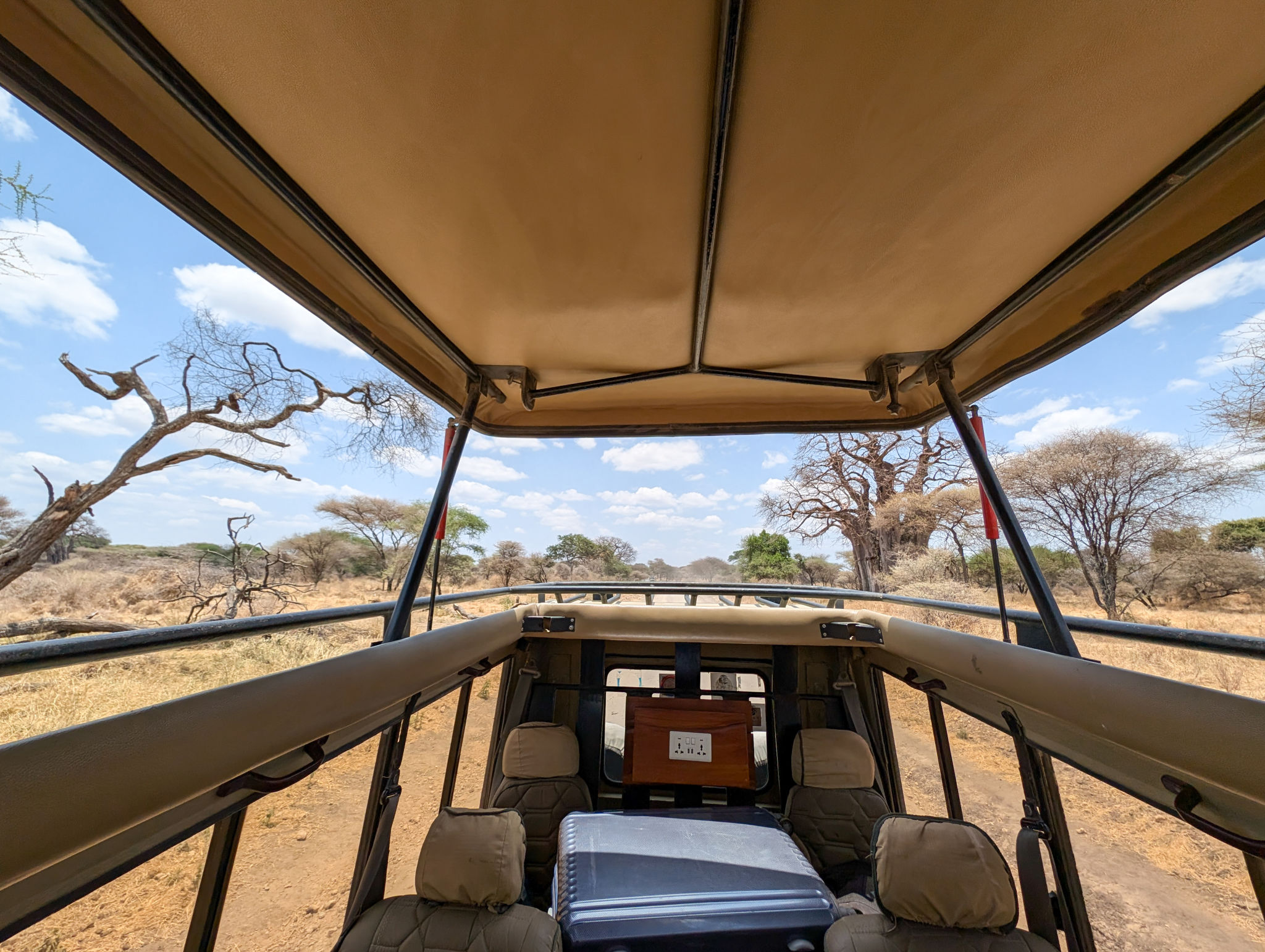 Safari travelers riding 4x4 through tarangire national park, tanzania, experiencing wildlife-rich savanna landscape with diverse animals and dramatic scenic views Safari travelers riding 4x4 through tarangire national park, tanzania, experiencing wildlife-rich savanna landscape with diverse animals and dramatic scenic views