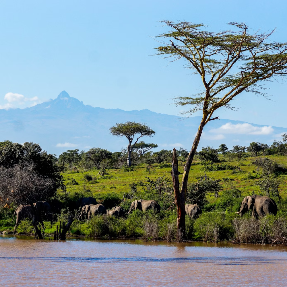6 Days Mt Kenya Climbing: Naromoru – Chogoria Route