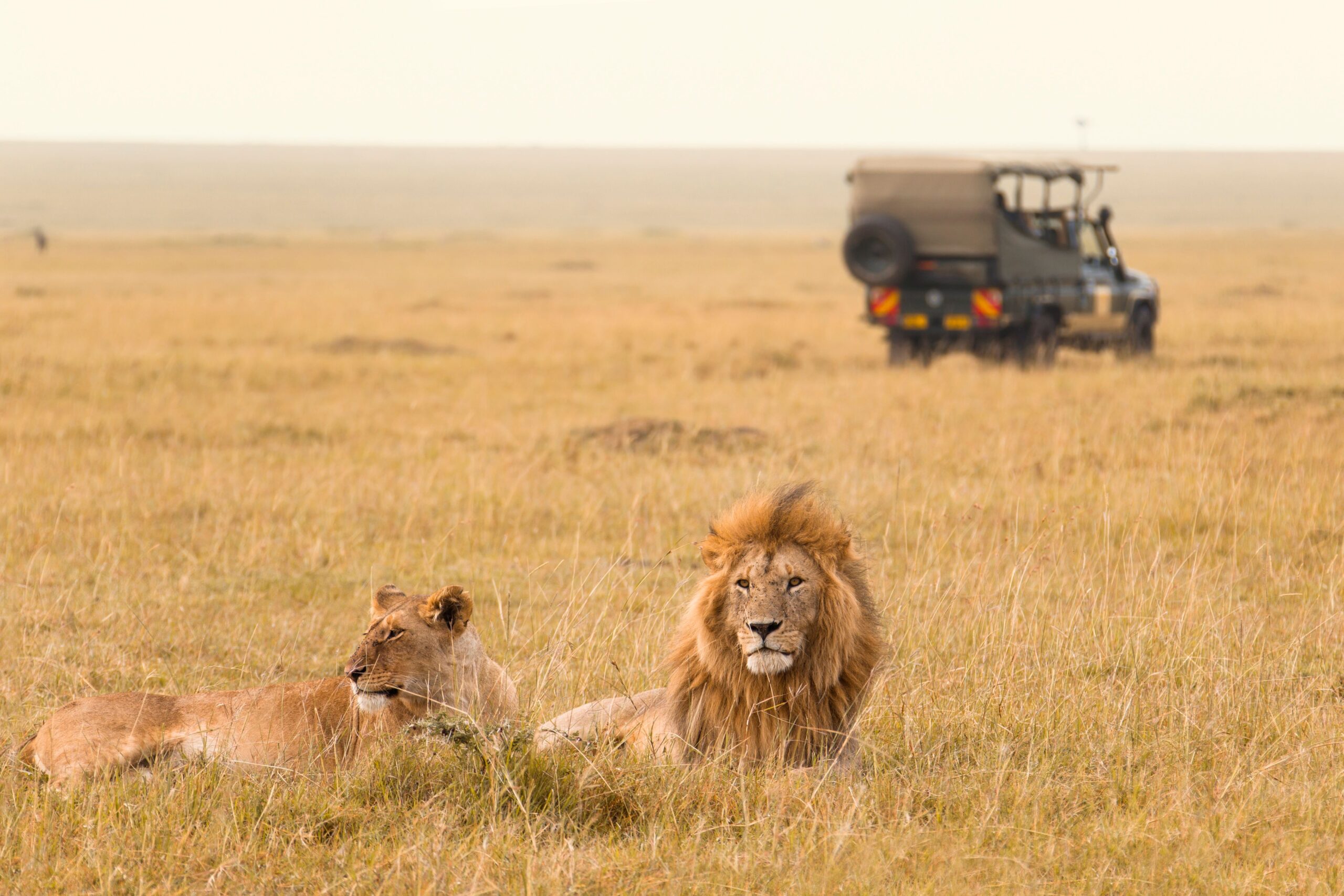 kenya safari