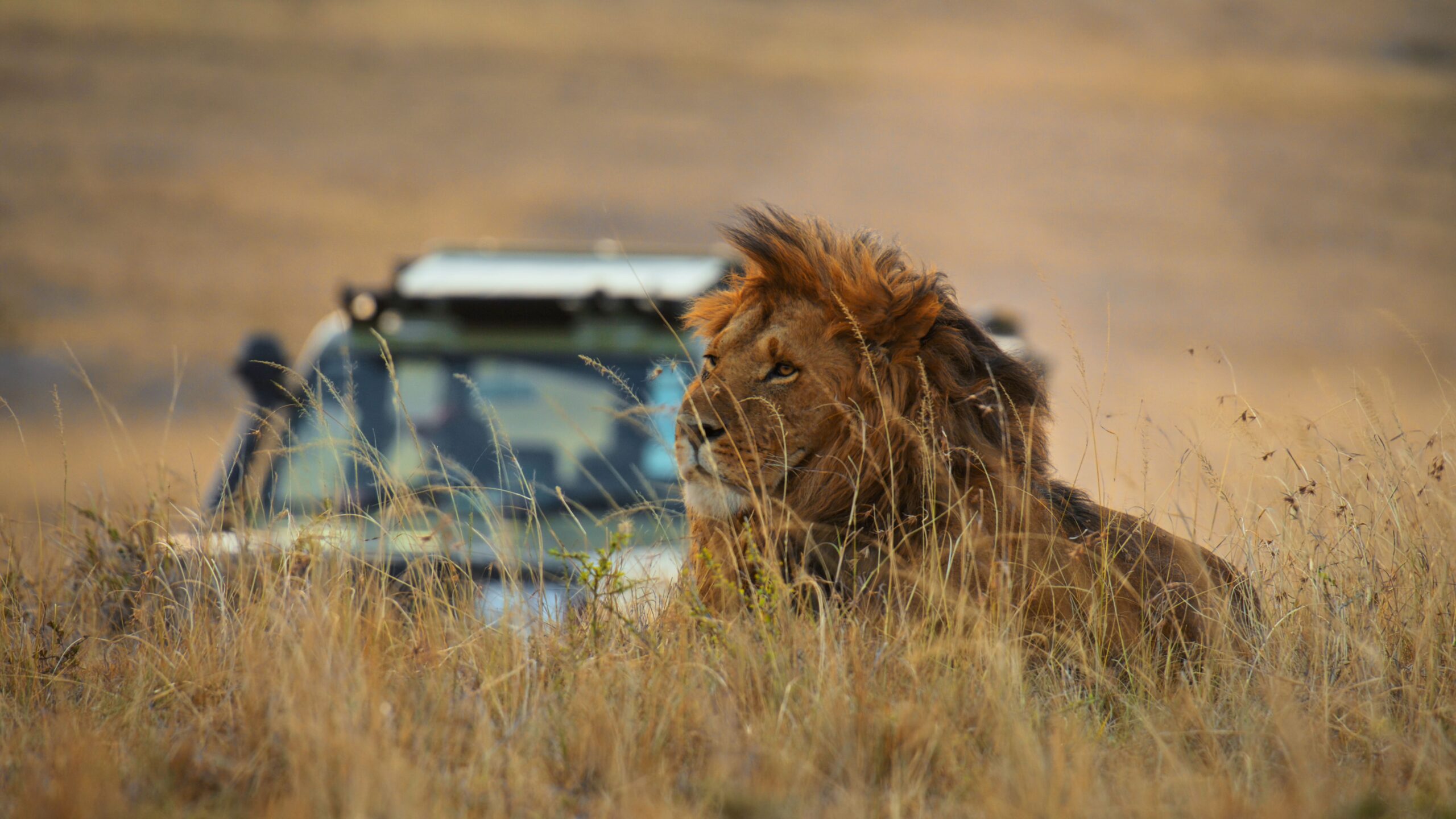 kenya safari
